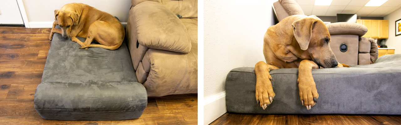 big barker dog bed review