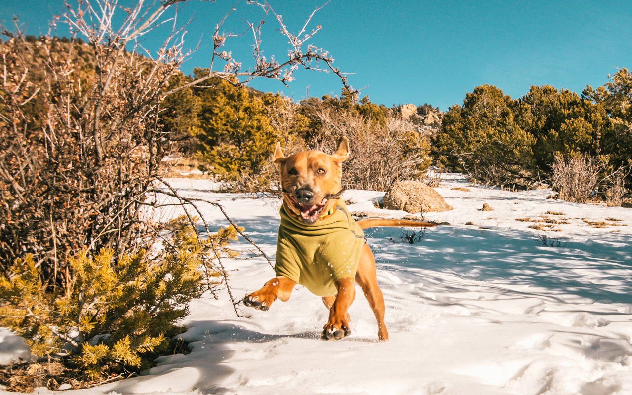 ruffwear climate changer jacket review