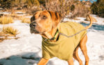 ruffwear climate changer jacket review