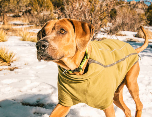 ruffwear climate changer jacket review