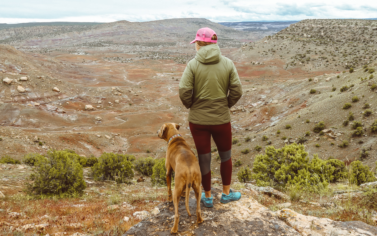 The compressor hoody mountain hardwear