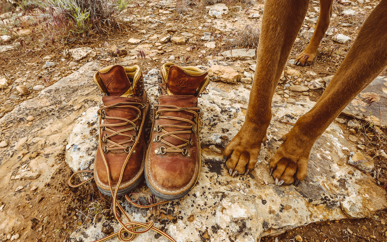 Review] Women's Mountain Pass by Danner 