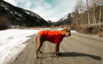 ruffwear powder hound jacket review