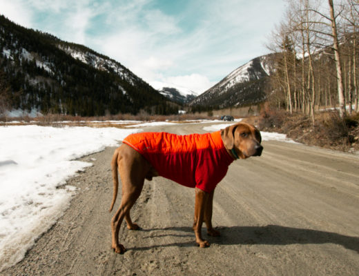 ruffwear powder hound jacket review