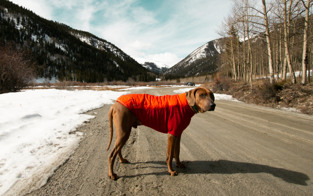 ruffwear powder hound