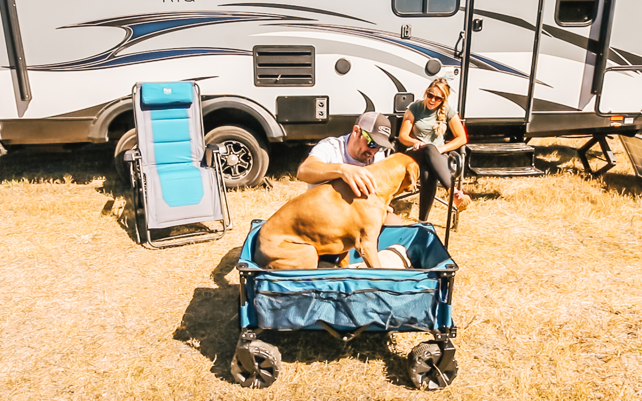 Folding Camping Beach Wagon by Timber Ridge