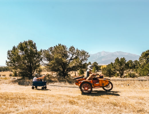 Folding Camping Beach Wagon by Timber Ridge